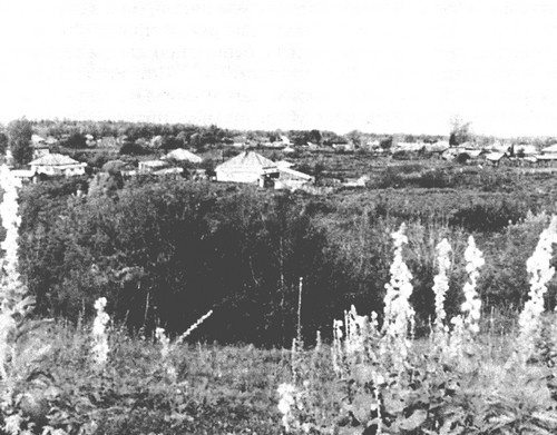 Иллюстрация к книге — Шукшин [i_010.jpg]