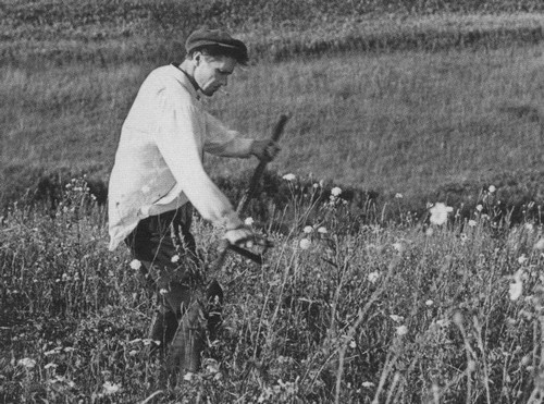 Иллюстрация к книге — Шукшин [i_054.jpg]