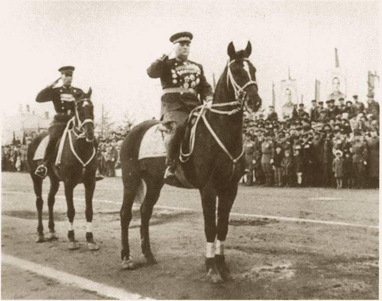 Иллюстрация к книге — Мерецков [i_066.jpg]