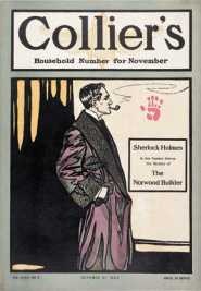 Иллюстрация к книге — Шерлок Холмс. Человек, который никогда не жил и поэтому никогда не умрет [i_104.jpg]