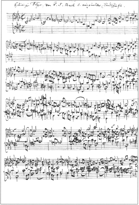 Иллюстрация к книге — Бах [i_021.jpg]