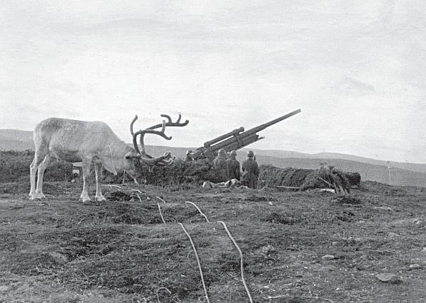 Иллюстрация к книге — Моя свекровь Рахиль, отец и другие... [_30.jpg]