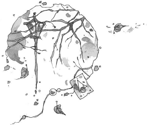 Иллюстрация к книге — Витчхантеры. Книга 3. Инкарнация Вики [i_002.jpg]