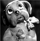 Иллюстрация к книге — Изобретено в России. История русской изобретательской мысли от Петра I до Николая II [image_71.jpg]