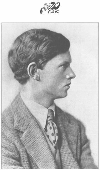 Иллюстрация к книге — Насмешник [i_003.jpg]