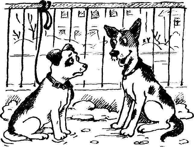 Иллюстрация к книге — Пончик идет по следу [i_005.jpg]