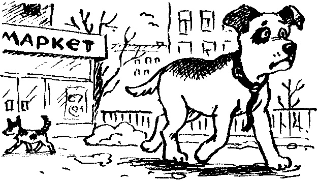 Иллюстрация к книге — Пончик идет по следу [i_006.jpg]