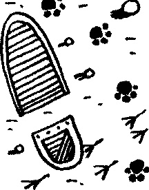 Иллюстрация к книге — Пончик идет по следу [i_008.jpg]