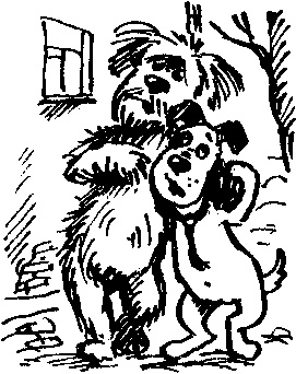 Иллюстрация к книге — Пончик идет по следу [i_010.jpg]