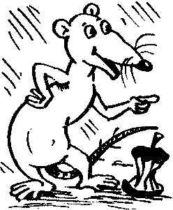 Иллюстрация к книге — Пончик идет по следу [i_011.jpg]