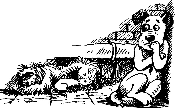 Иллюстрация к книге — Пончик идет по следу [i_012.jpg]