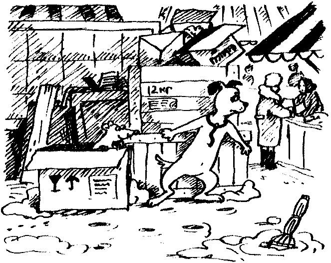 Иллюстрация к книге — Пончик идет по следу [i_016.jpg]