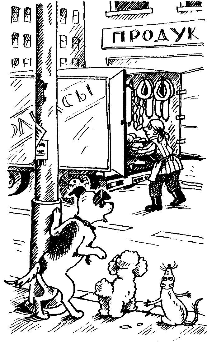 Иллюстрация к книге — Пончик идет по следу [i_023.jpg]