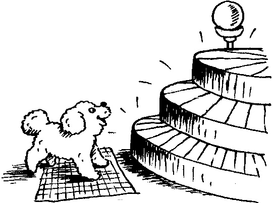 Иллюстрация к книге — Пончик идет по следу [i_024.jpg]