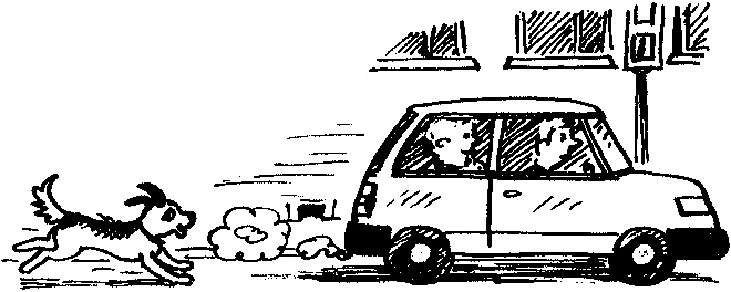 Иллюстрация к книге — Пончик идет по следу [i_029.jpg]