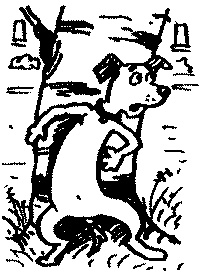 Иллюстрация к книге — Пончик идет по следу [i_031.jpg]