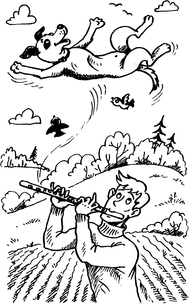 Иллюстрация к книге — Пончик идет по следу [i_034.jpg]