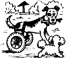 Иллюстрация к книге — Пончик идет по следу [i_036.jpg]