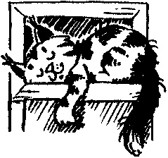 Иллюстрация к книге — Пончик идет по следу [i_040.jpg]