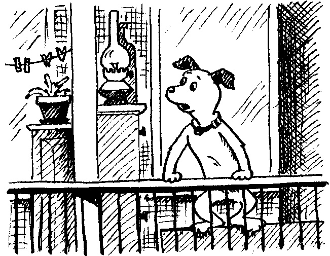 Иллюстрация к книге — Пончик идет по следу [i_041.jpg]