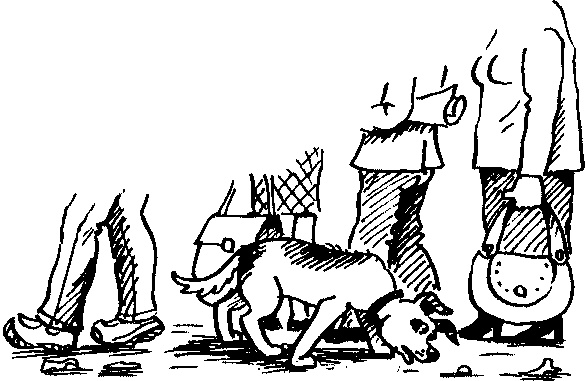 Иллюстрация к книге — Пончик идет по следу [i_044.jpg]