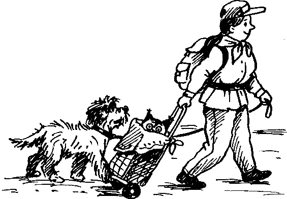 Иллюстрация к книге — Пончик идет по следу [i_051.jpg]