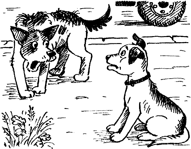 Иллюстрация к книге — Пончик идет по следу [i_054.jpg]