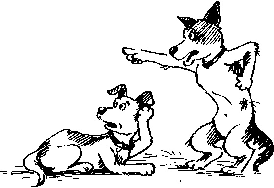 Иллюстрация к книге — Пончик идет по следу [i_056.jpg]