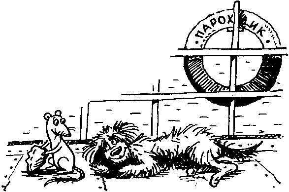 Иллюстрация к книге — Пончик идет по следу [i_063.jpg]