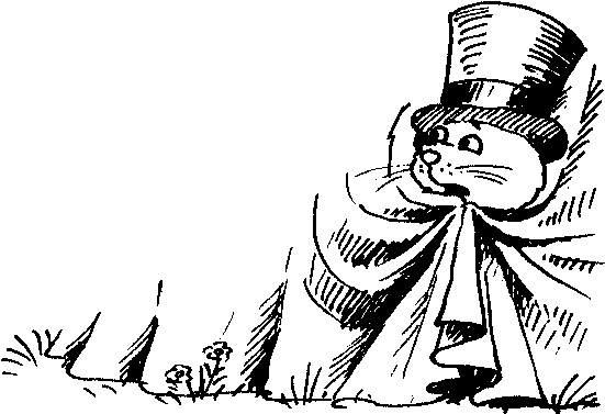 Иллюстрация к книге — Пончик идет по следу [i_070.jpg]