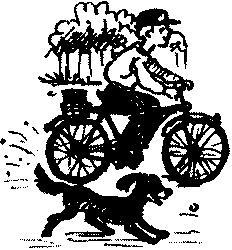 Иллюстрация к книге — Пончик идет по следу [i_072.jpg]