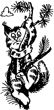 Иллюстрация к книге — Пончик идет по следу [i_077.jpg]