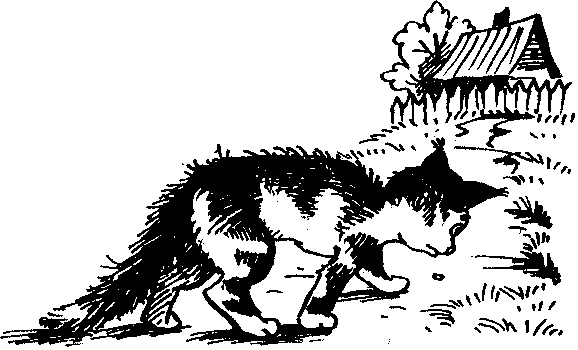 Иллюстрация к книге — Пончик идет по следу [i_078.jpg]