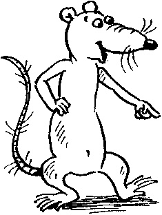 Иллюстрация к книге — Пончик идет по следу [i_082.jpg]