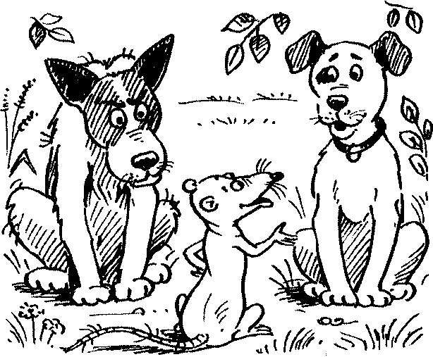 Иллюстрация к книге — Пончик идет по следу [i_083.jpg]