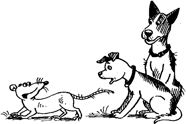 Иллюстрация к книге — Пончик идет по следу [i_084.jpg]