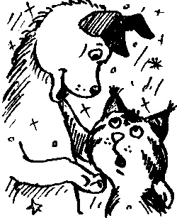 Иллюстрация к книге — Пончик идет по следу [i_088.jpg]