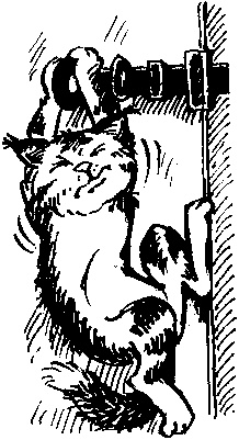 Иллюстрация к книге — Пончик идет по следу [i_089.jpg]