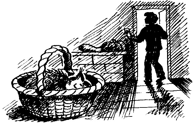 Иллюстрация к книге — Пончик идет по следу [i_091.jpg]