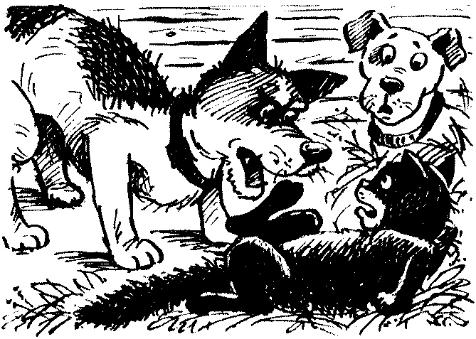 Иллюстрация к книге — Пончик идет по следу [i_094.jpg]