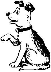 Иллюстрация к книге — Пончик идет по следу [i_096.jpg]