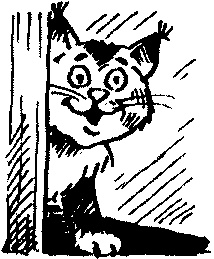 Иллюстрация к книге — Пончик идет по следу [i_097.jpg]