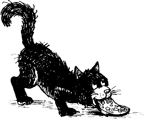 Иллюстрация к книге — Пончик идет по следу [i_098.jpg]