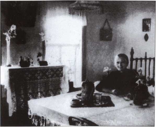 Иллюстрация к книге — Шолохов [i_012.jpg]