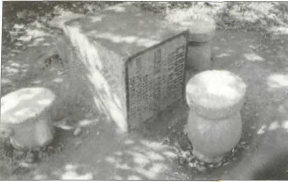 Иллюстрация к книге — Русский Харбин [i_052.jpg]