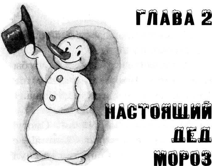 Иллюстрация к книге — Юбилей Деда Мороза [i_006.jpg]