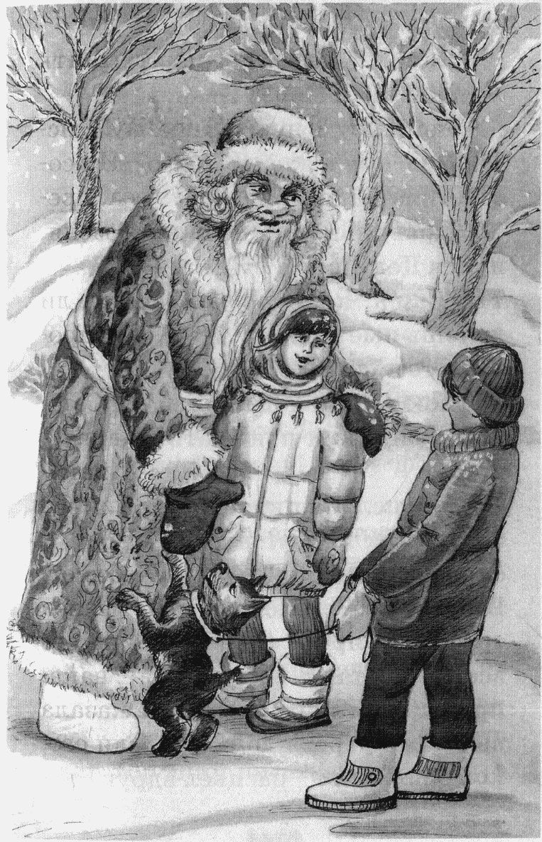 Иллюстрация к книге — Юбилей Деда Мороза [i_007.jpg]