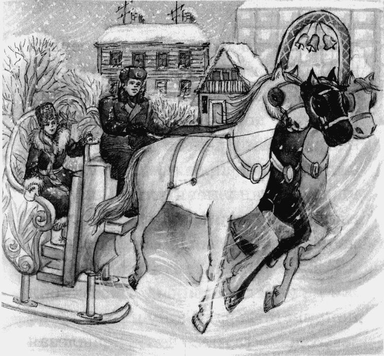 Иллюстрация к книге — Юбилей Деда Мороза [i_020.jpg]