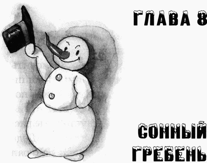 Иллюстрация к книге — Юбилей Деда Мороза [i_023.jpg]