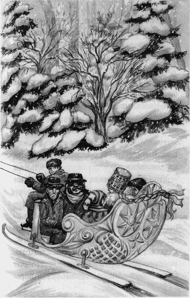 Иллюстрация к книге — Юбилей Деда Мороза [i_030.jpg]